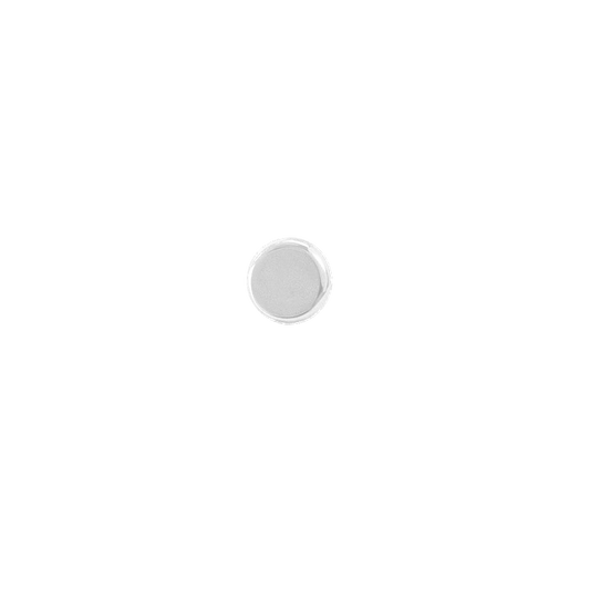 Titanium Disc Theadless End